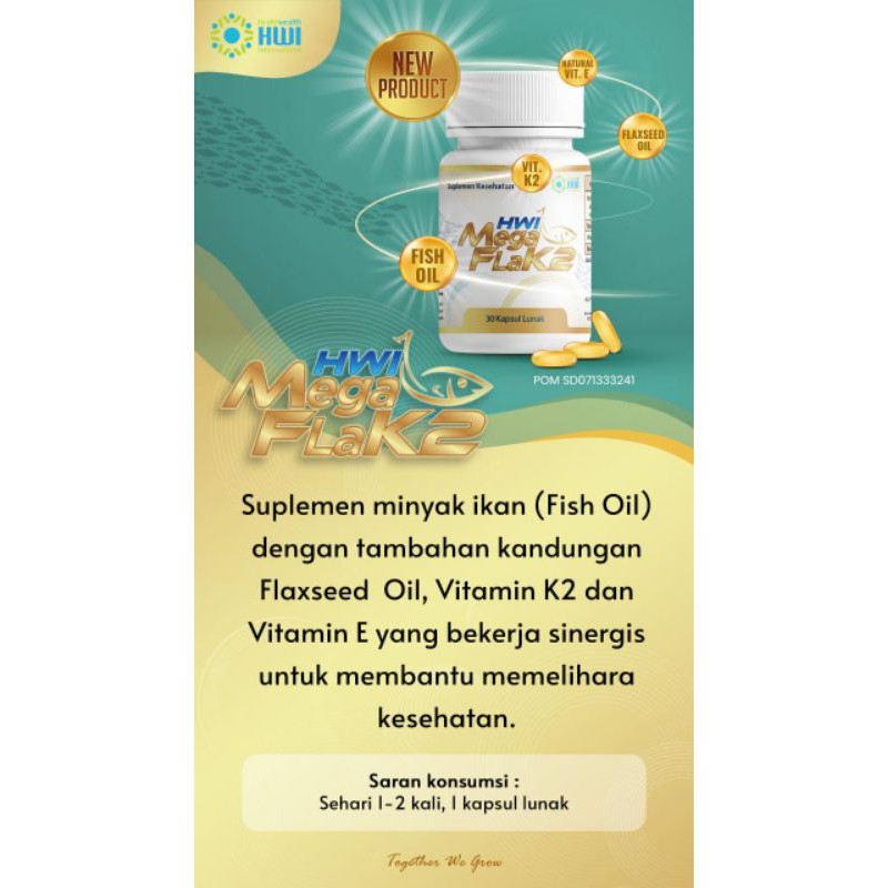 Mega Flak2 - Image 4