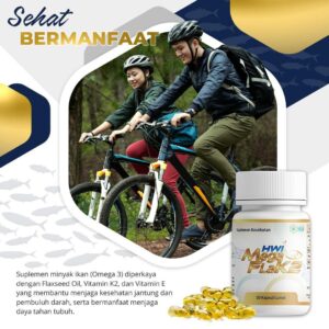 komposisi mega flak2