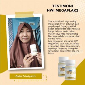 testimoni megaflak2